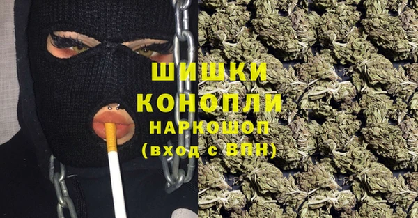 спайс Алексин